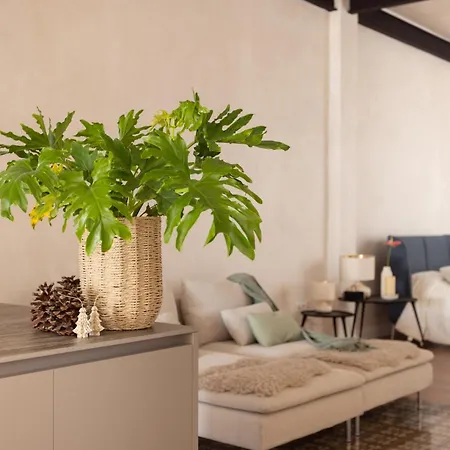 Eden Luxury Premier Ph Short Term * Santa Cruz de Tenerife